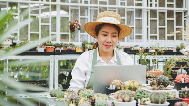 A plant nursery small business owner looks at her laptop in her shop.